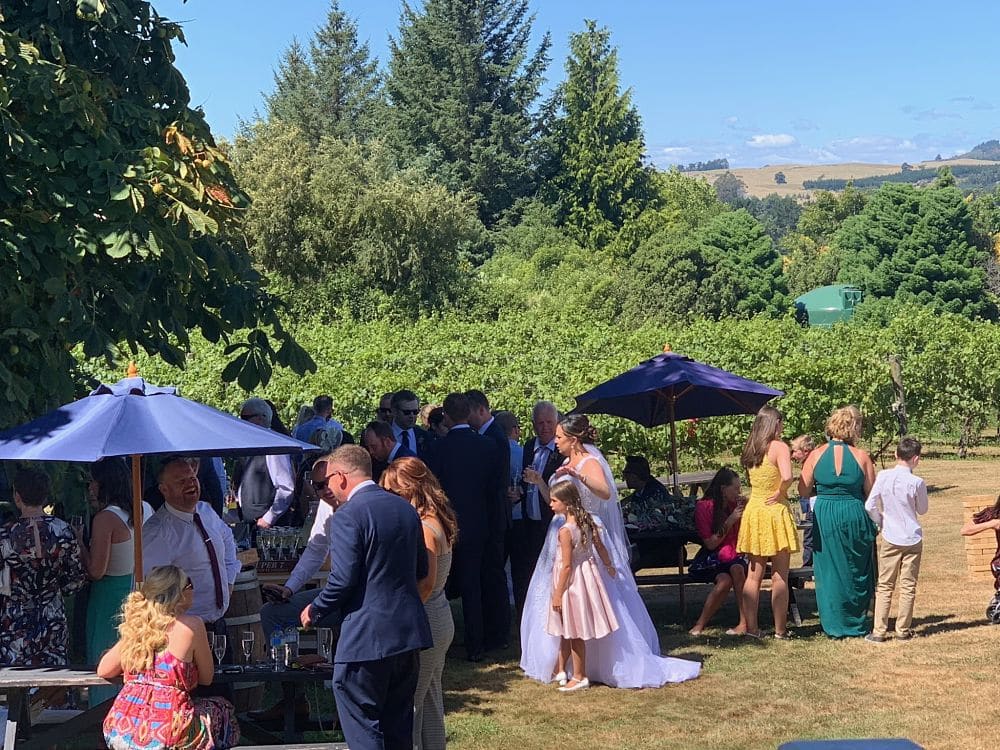 Huka Falls Resort - Wedding guests and bride enjoying afternoon drinks next to the grape vines