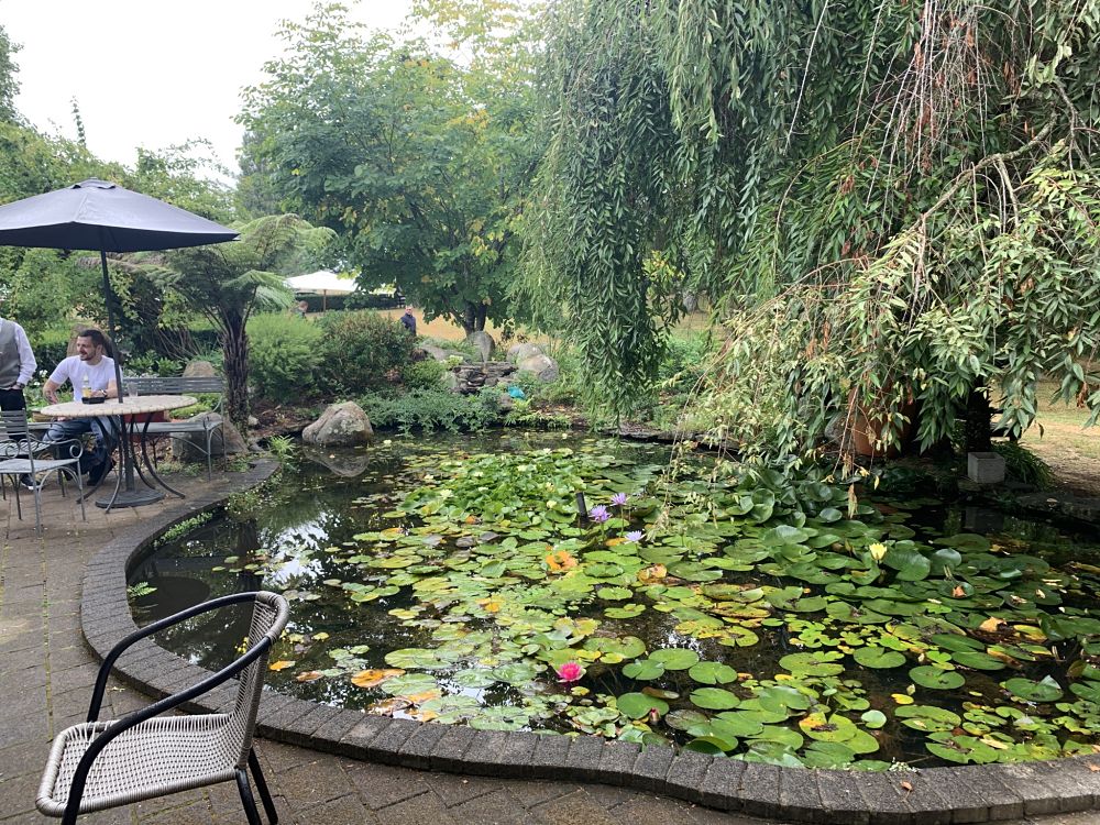 The Waterlily Gardens - Lily Pond