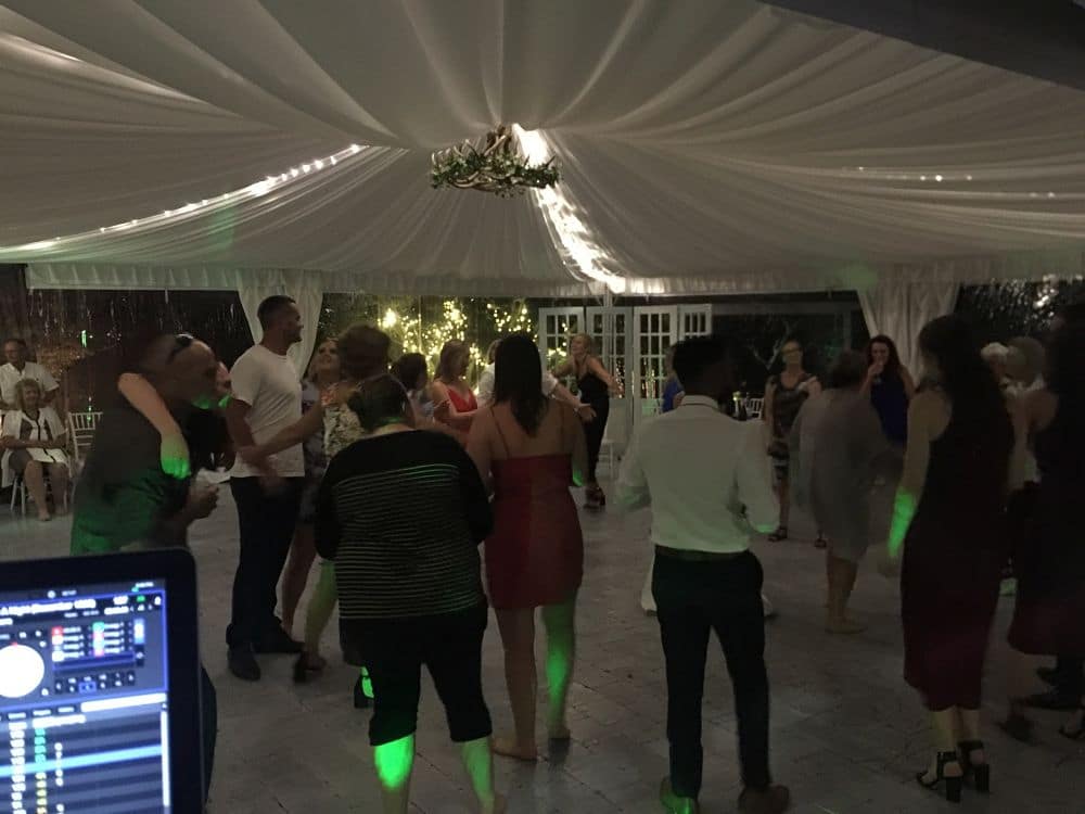 Olive Tree Cottage Tauranga - Wedding Guests Dancing